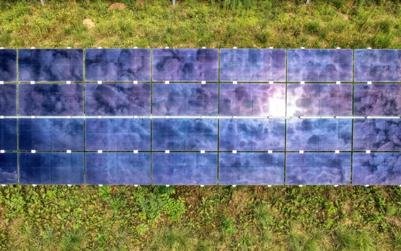 Efficient & Scalable Ground Mounted Solar Solutions - Carbon Culture Solar Solutions